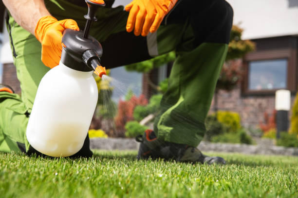 Best Pest Control for Multi-Family Homes  in Teutopolis, IL